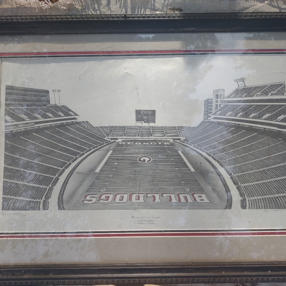University of Georgia signed drawing